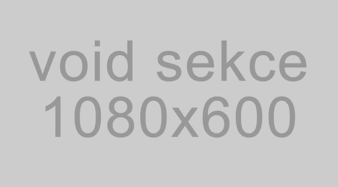 Void pro sekci